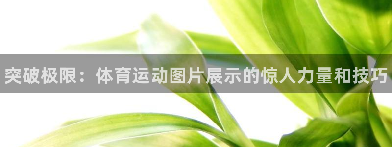 注册J9官方正版app：突破极限：体育运动图片展示的惊人力量