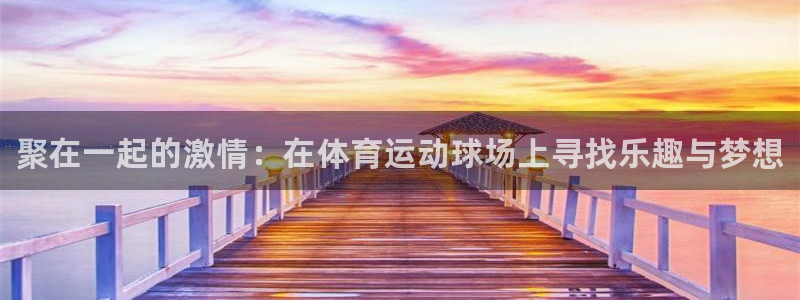 J9官网下载平台：聚在一起的激情：在体育运动球场上寻