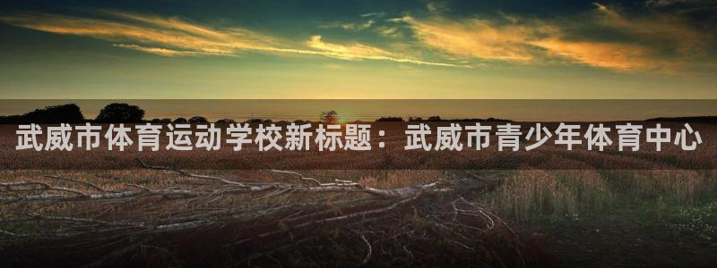 J9官方正版app集团E.ON：武威市体育运动学校新