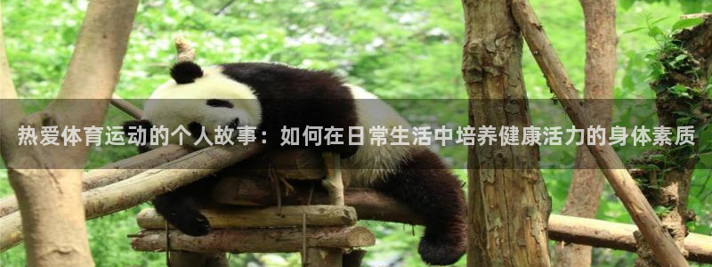 J9官方正版app集团E.ON：热爱体育运动的个人故