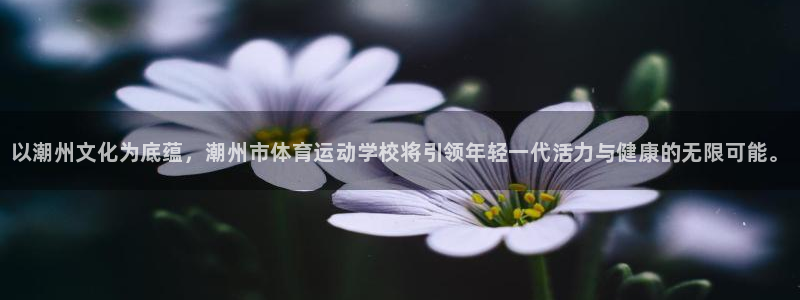 J9官方正版app娱乐首页网站大全：以潮州文化为底蕴，潮州市