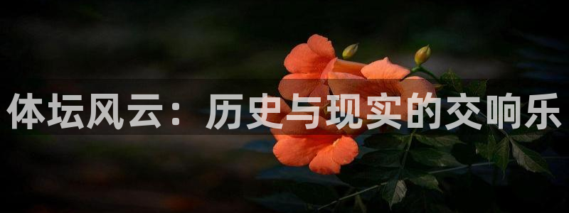 J9官方正版app娱乐40996：体坛风云：历史与现