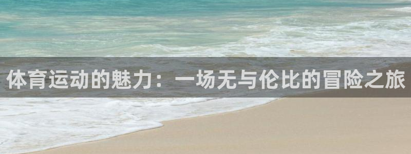 J9官方正版app五金厂：体育运动的魅力：一场无与伦