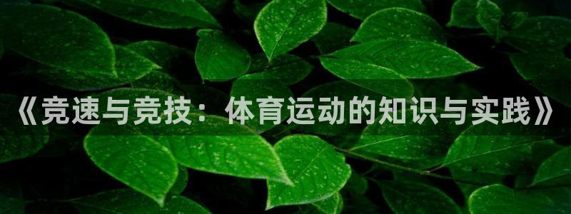 J9官方正版app开户：《竞速与竞技：体育运动的知识