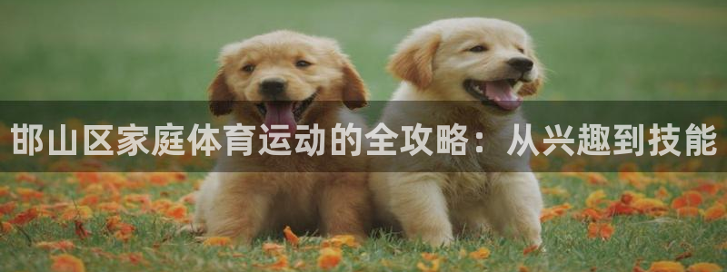 J9官方正版app娱乐首页网站大全：邯山区家庭体育运