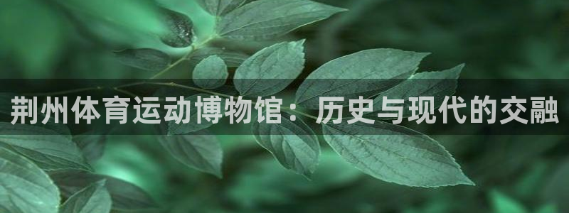 J9官方正版app五金厂：荆州体育运动博物馆：历史与