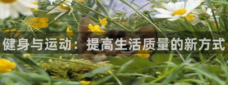 J9官方正版app集团：健身与运动：提高生活质量的新