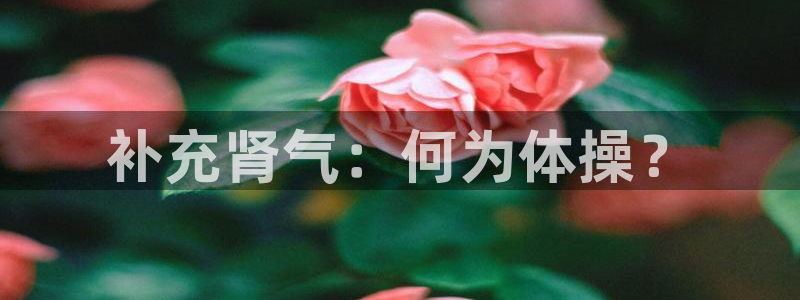 J9官方正版app集团官网首页网址：补充肾气：何为体