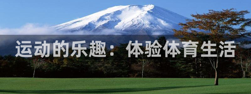 J9官方正版app官方：运动的乐趣：体验体育生活