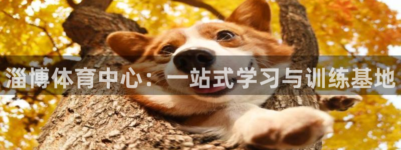 J9官网下载平台假的吗是真的吗吗：淄博体育中心：一站