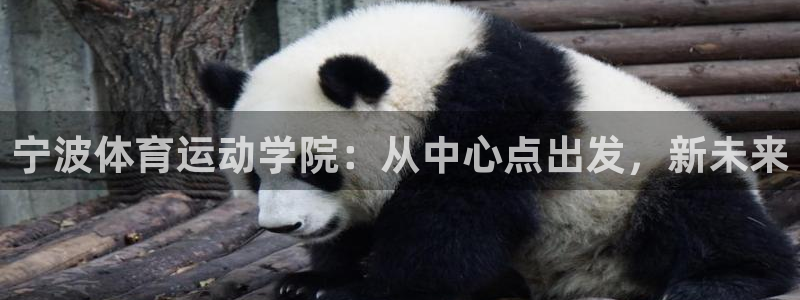 J9官方正版app娱乐代理怎么样：宁波体育运动学院：