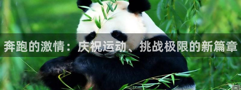 J9官网下载开户：奔跑的激情：庆祝运动、挑战极限的新