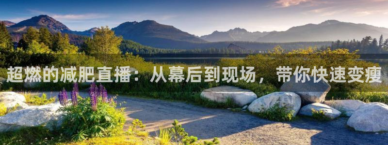 so米直播体育在线观看：超燃的减肥直播：从幕后到现场，带你快速变瘦