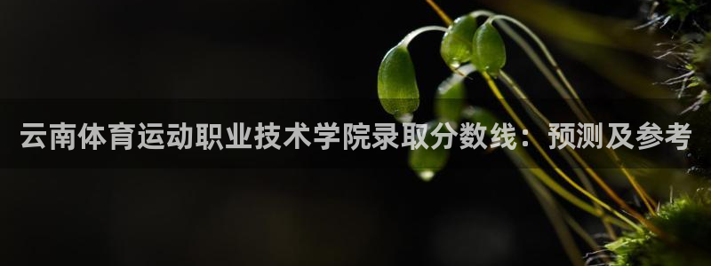 J9官网下载招商电话是多少号码：云南体育运动职业技术