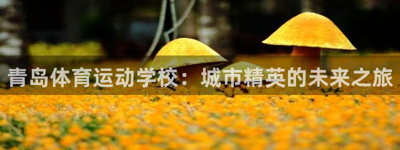 J9官网下载平台是正规平台吗安全吗：青岛体育运动学校