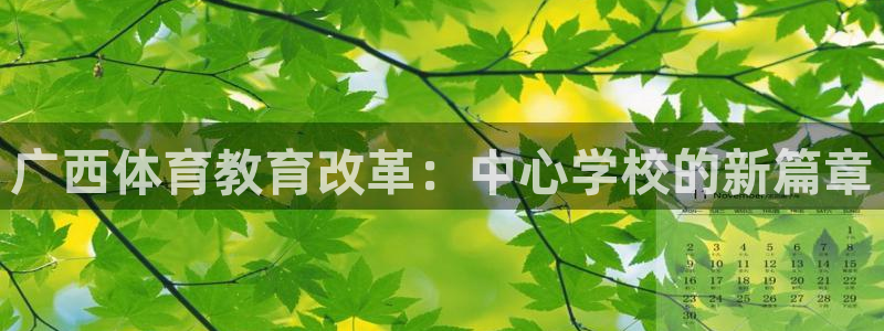 J9官网下载平台注册要钱吗：广西体育教育改革：中心学校的新篇