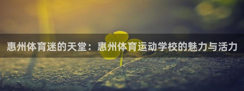 J9官方正版app娱乐下载